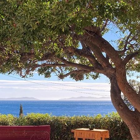 Bed and Breakfast L'Arbousier Райоль-Канадель-сюр-Мер Экстерьер фото